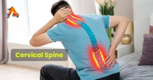 Cervical Spine